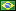 Brazilian-Portuguese